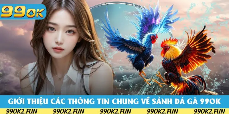 Giới thiệu các thông tin chung về về sảnh đá gà 99OK