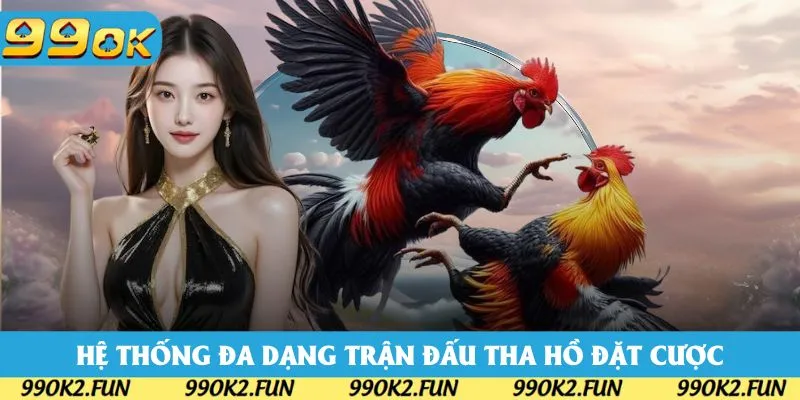 Hệ thống đa dạng trận đấu tha hồ đặt cược