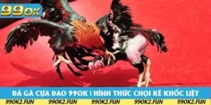 Đá Gà Cựa Dao 99OK | Hình Thức Chọi Kê Khốc Liệt Nhất 2025