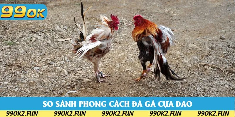 So sánh các phong cách thi đấu chọi kê cựa dao
