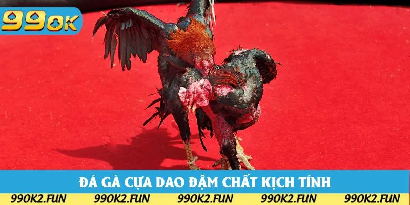 Đá gà cựa dao luôn được săn đón nhờ tính hấp dẫn Đá gà cựa dao luôn được săn đón nhờ tính hấp dẫn