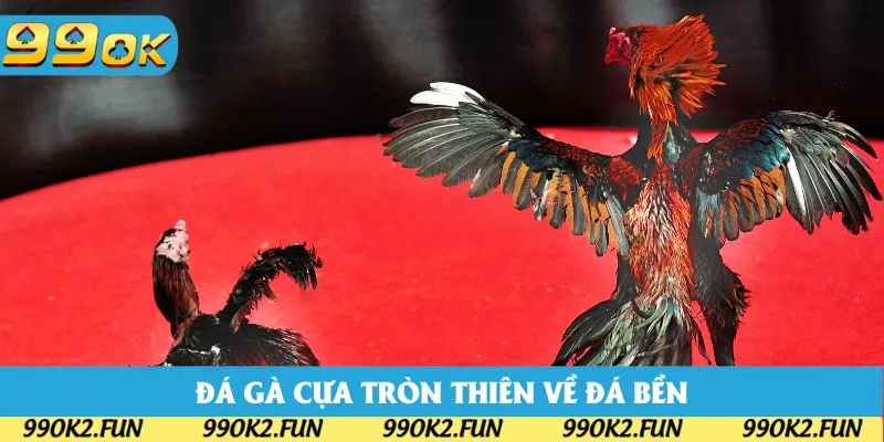 Đá gà cựa tròn thiên về đánh bền nhưng vẫn đảm bảo kịch tính Đá gà cựa tròn thiên về đánh bền nhưng vẫn đảm bảo kịch tính