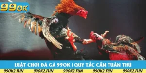 Luật Chơi Đá Gà 99OK | Những Quy Định Tân Thủ Ghi Nhớ
