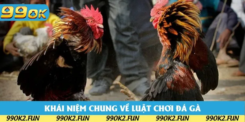 Những khái niệm chung khi tìm hiểu về luật chơi đá gà Những khái niệm chung khi tìm hiểu về luật chơi đá gà