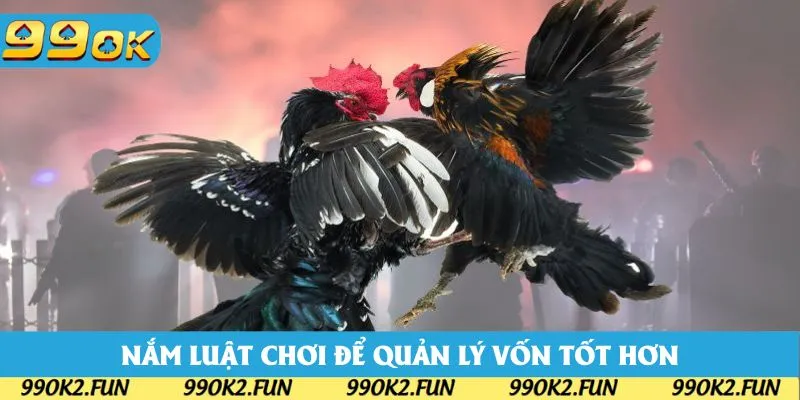 Nắm luật chơi là cách bạn quản lý vốn tốt hơn Nắm luật chơi là cách bạn quản lý vốn tốt hơn