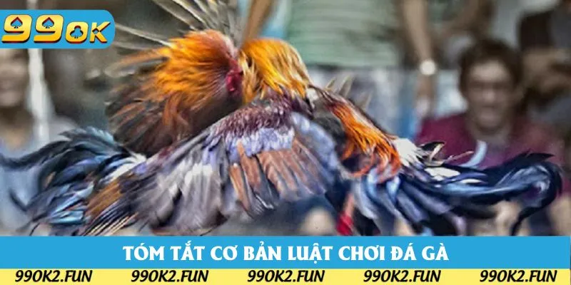 Tóm tắt các cơ bản trong luật chơi đá gà Tóm tắt các cơ bản trong luật chơi đá gà